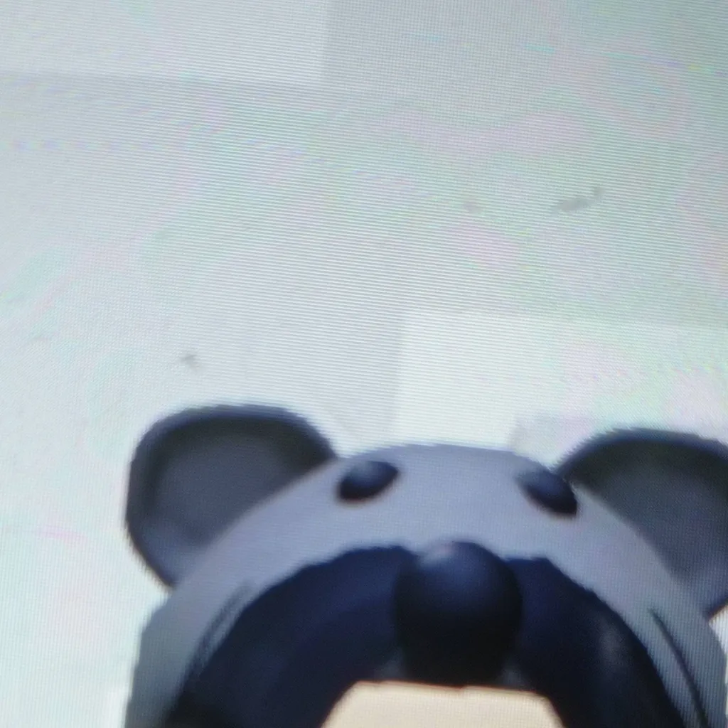 chat with ai character: koala sis