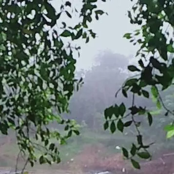 chat with ai character: PHEITO (⁠・⁠∀⁠・⁠)