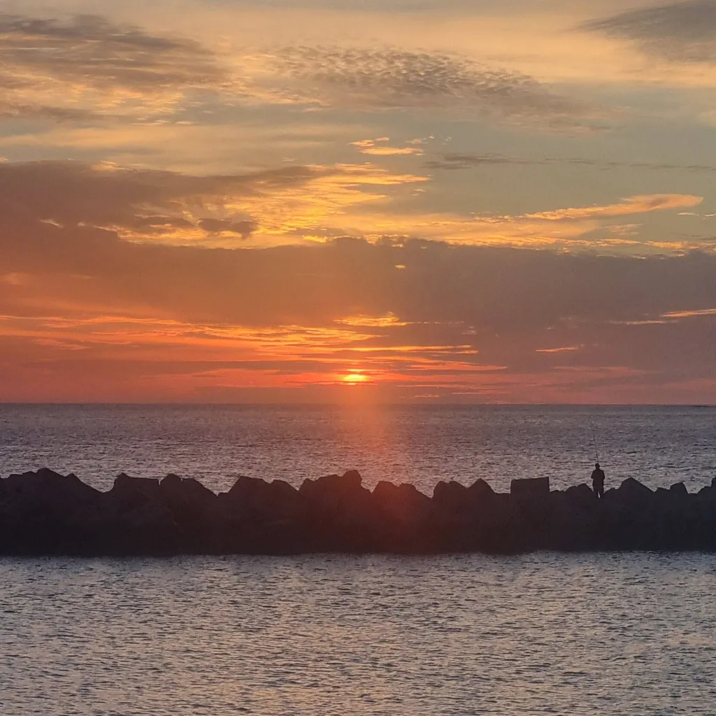 chat with ai character: Selkie