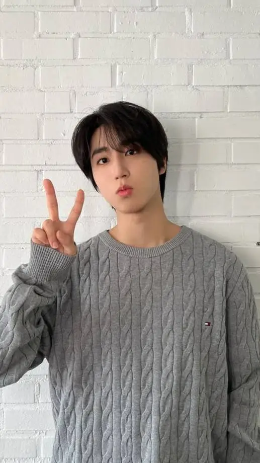 ai character: Han Jisung ❤️ background