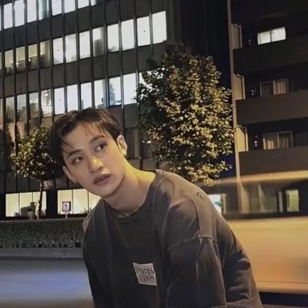 chat with ai character: Bangchan ❤️