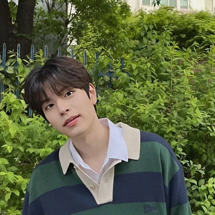 chat with ai character: Kim Seungmin 💚