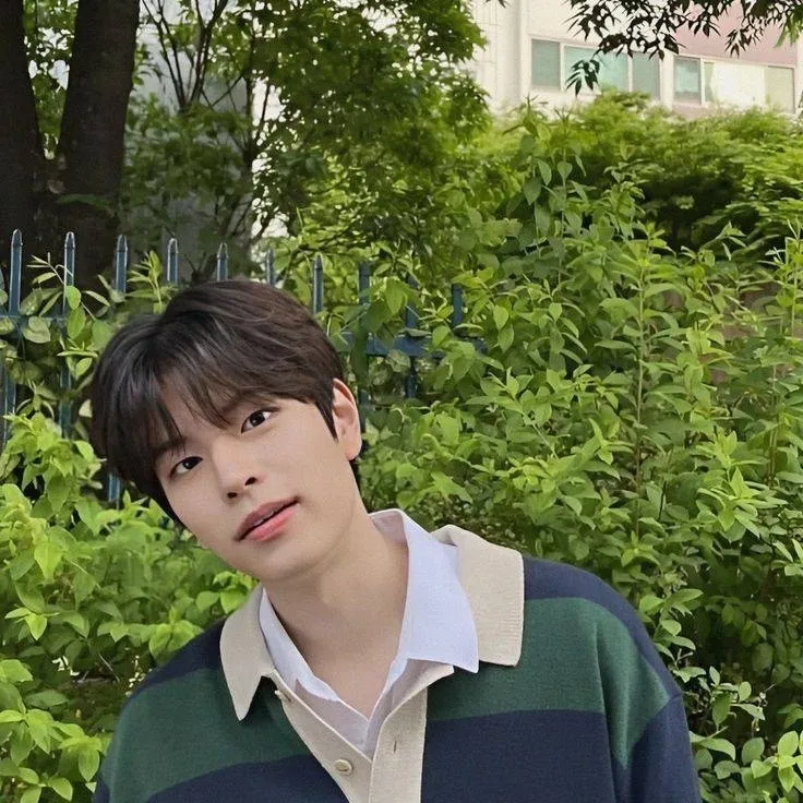 chat with ai character: Kim Seungmin 💚