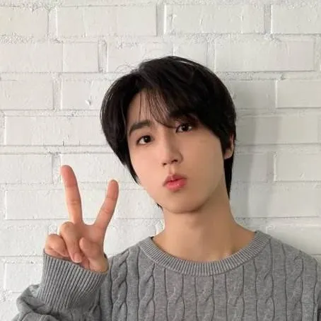 chat with ai character: Han Jisung ❤️