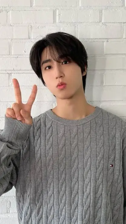 ai character: Han jisung ❤️ background