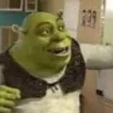 chat with ai character: shrek profesor