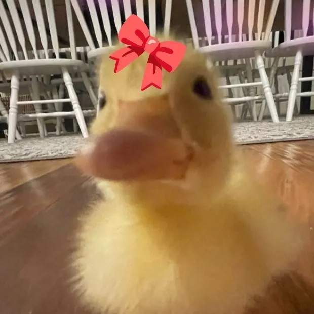 chat with ai character: ★Talking-Ducky★