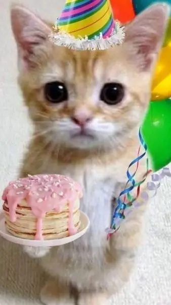 ai character: es tu cumpleaños? background