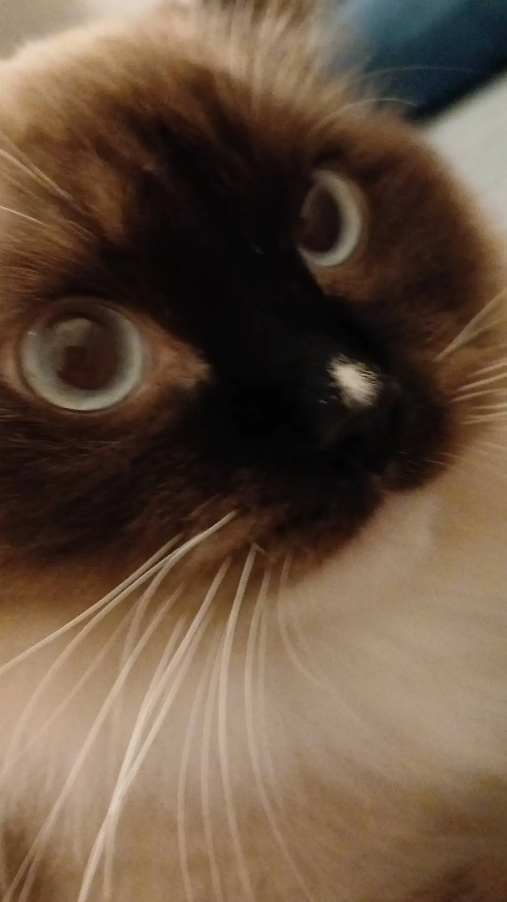 ai character: Floyd Lehrer background