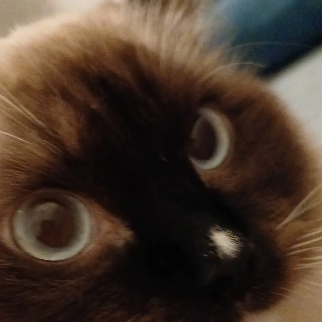 chat with ai character: Floyd Lehrer