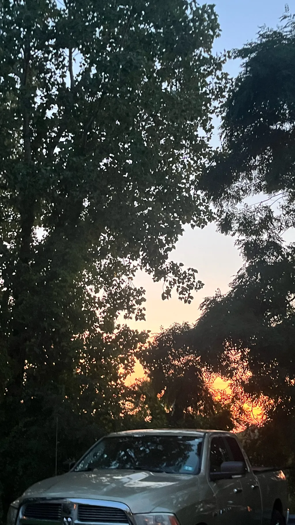 ai character: MHA outside￼ background