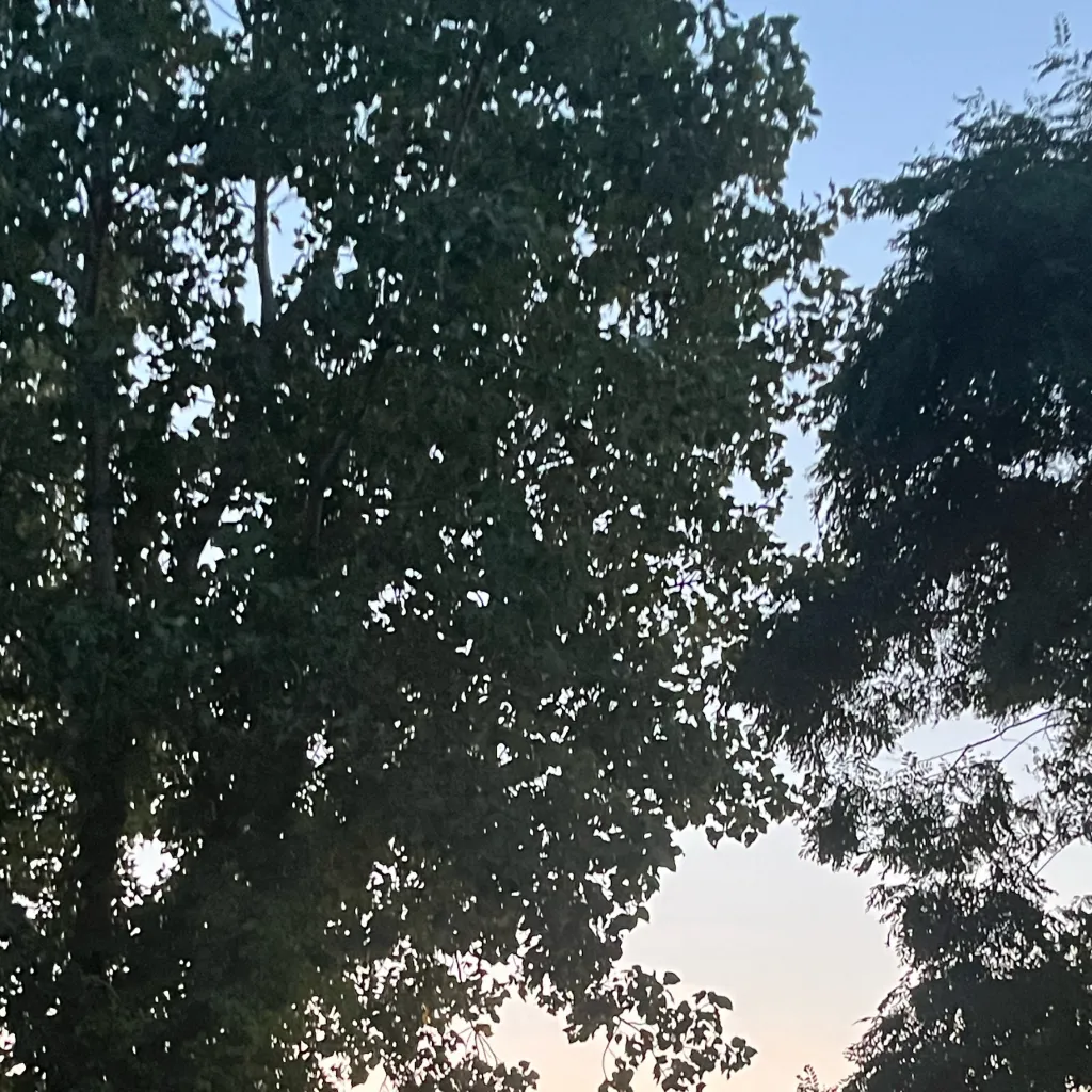 chat with ai character: MHA outside￼