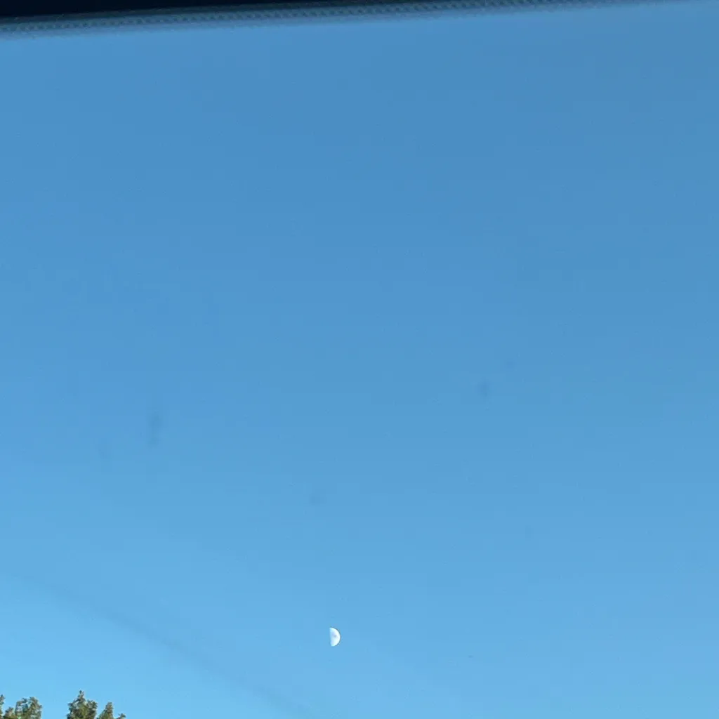 chat with ai character: ￼ restaurant mha