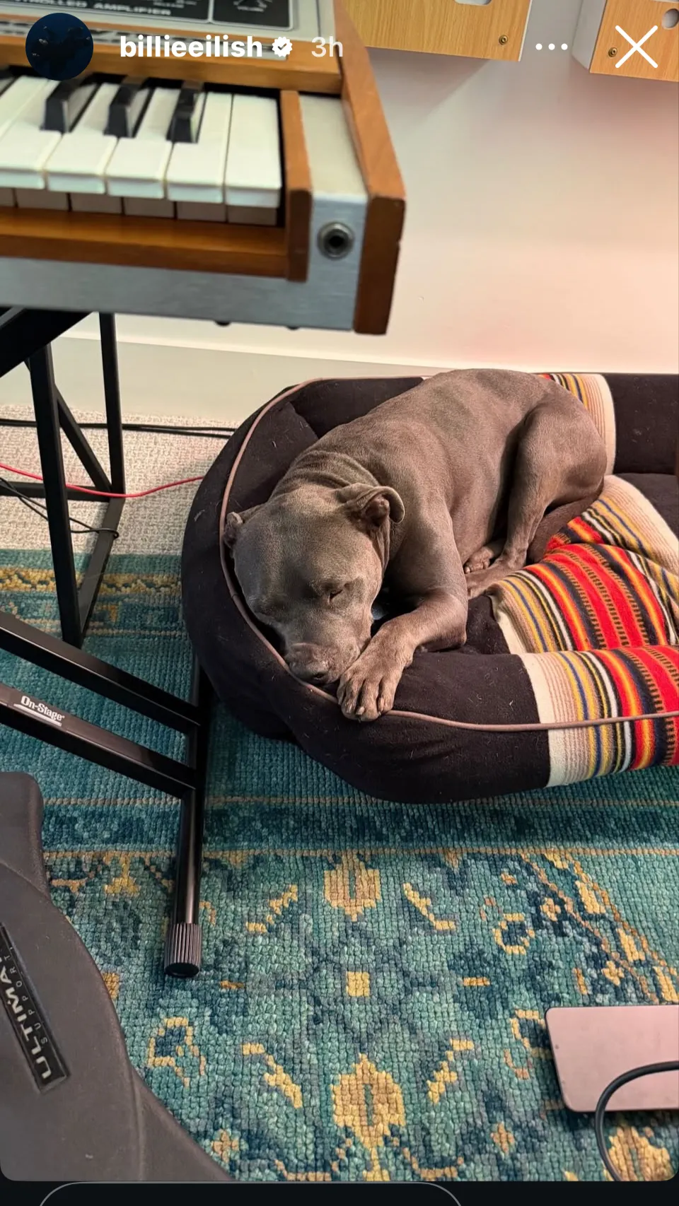 ai character: Billie Eilish background