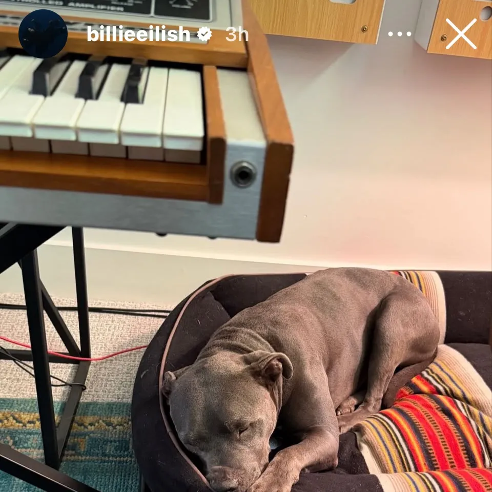 chat with ai character: Billie Eilish