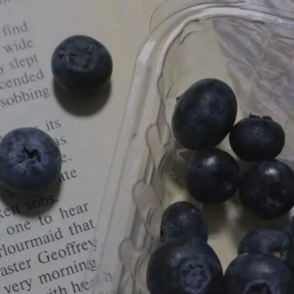 chat with ai character: blueberry virus