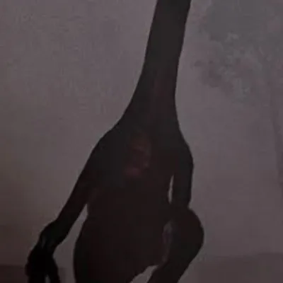 chat with ai character: Therizinosaurus