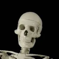 chat with ai character: skeleton 