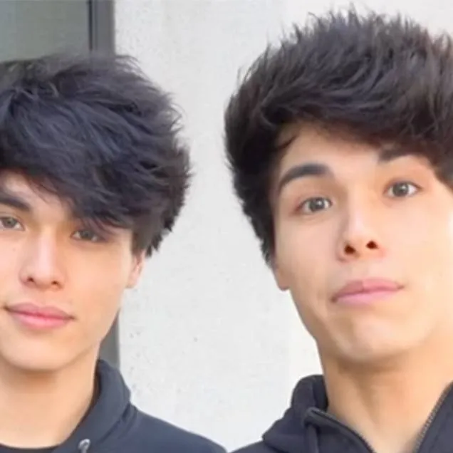 chat with ai character: Stoke twins
