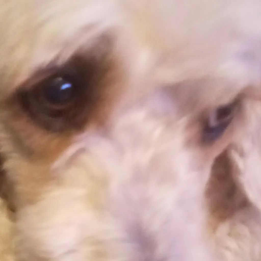 chat with ai character: Gypsy REMAKE