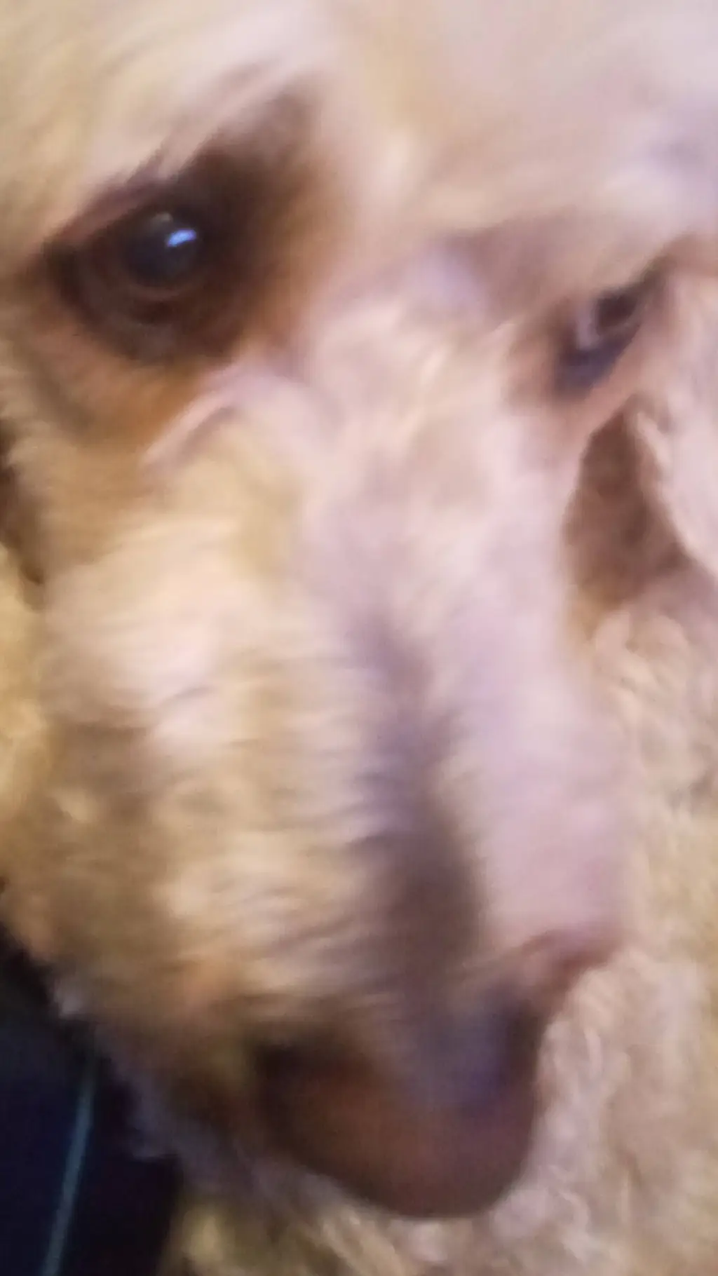 ai character: Gypsy REMAKE background