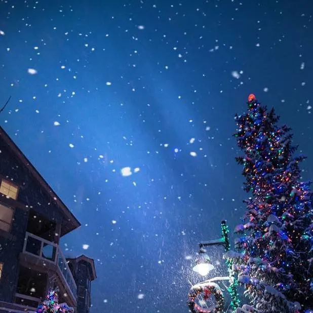 chat with ai character: 🎄🎆Forsaken🎆🎄