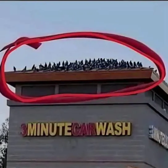 chat with ai character: Car wash