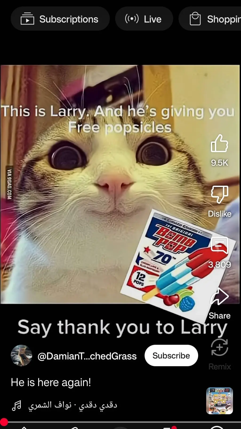 ai character: Larry background