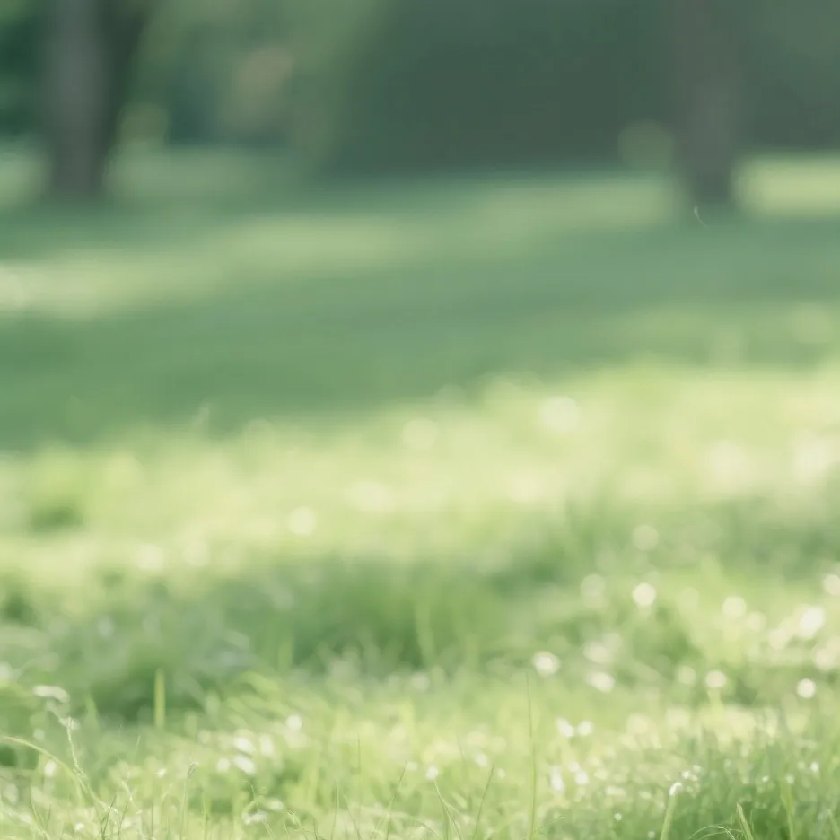 chat with ai character: touch grass 
