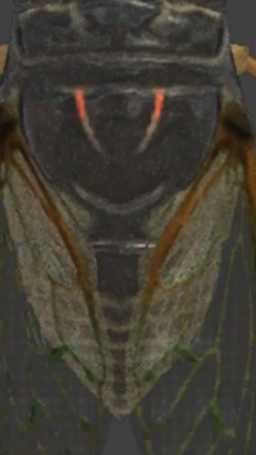 ai character: cicada  background