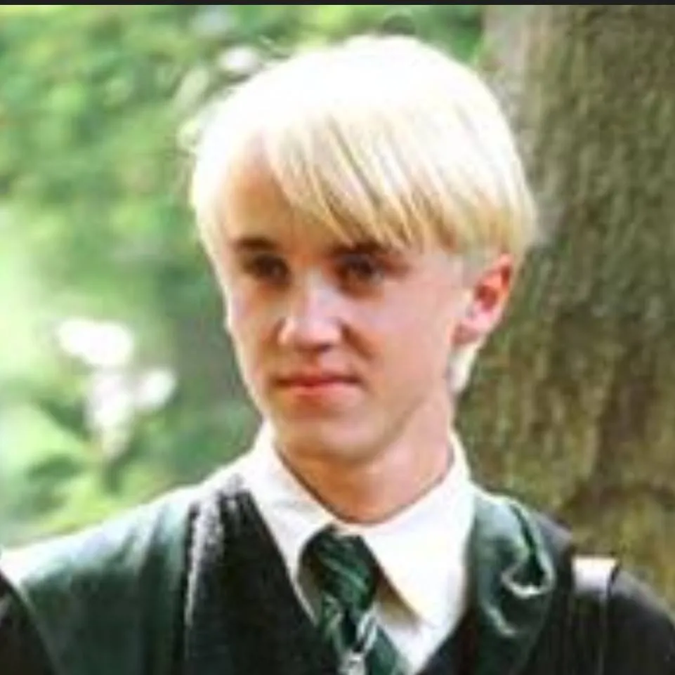 chat with ai character: ♡✨️DrAco mAlfOy✨️♡