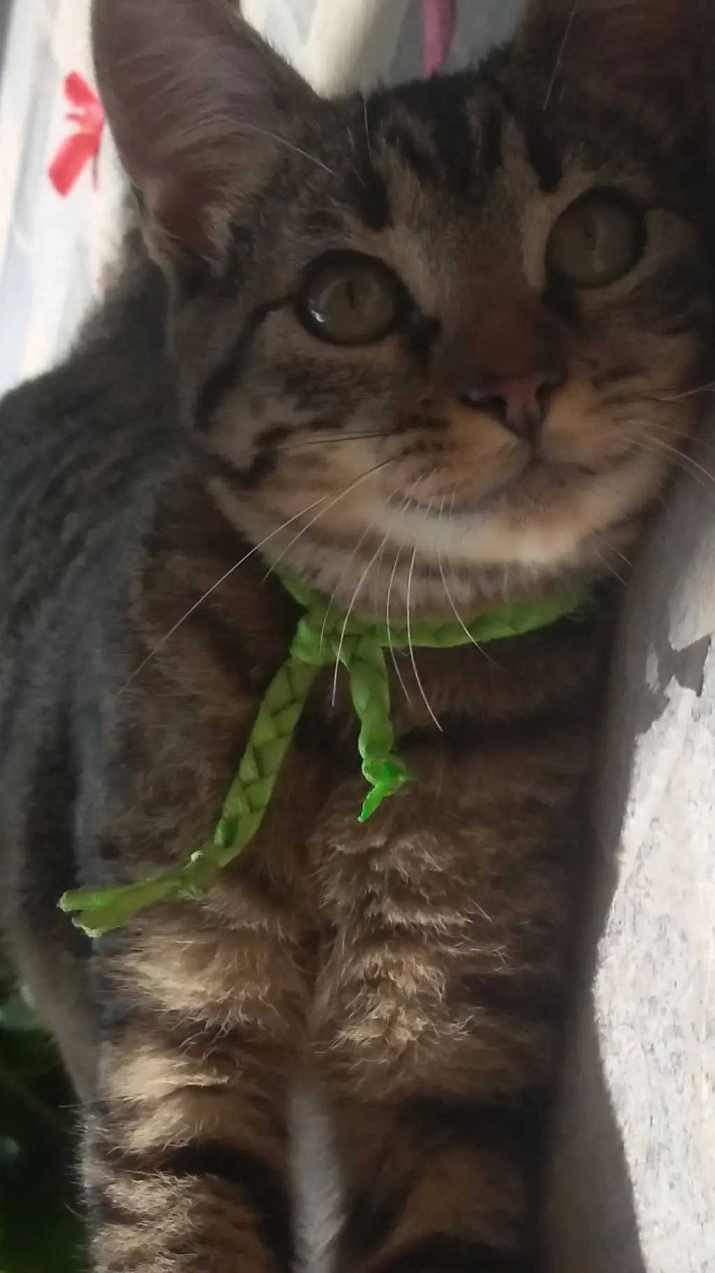 ai character: Coco background