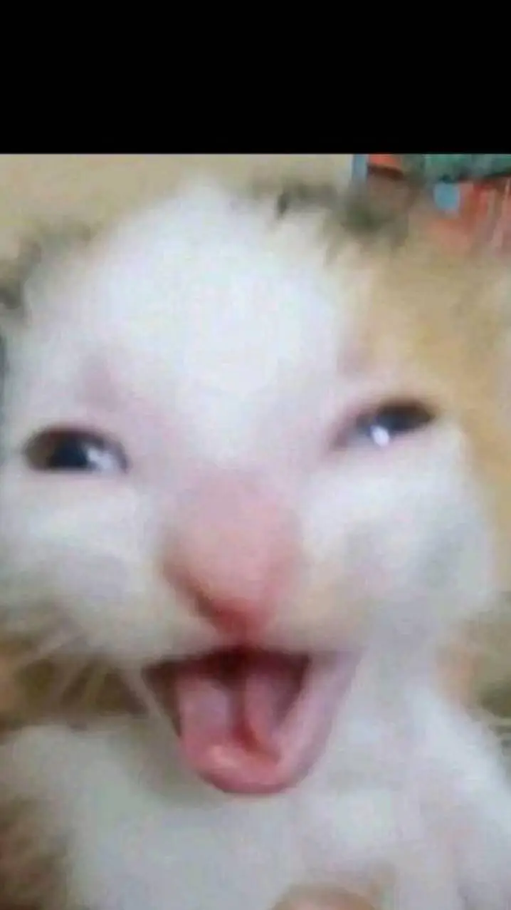 ai character: ir Autistic kitty background