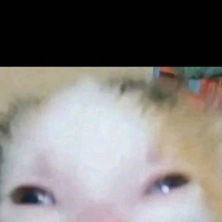chat with ai character: ir Autistic kitty