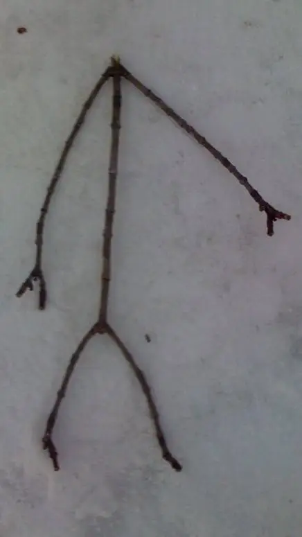 ai character: ma bady background