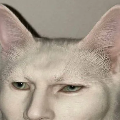 chat with ai character: el gato sabio 