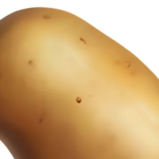 chat with ai character: Potato ￼