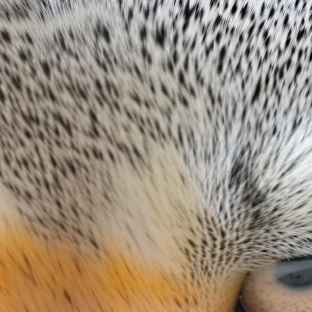 chat with ai character: Capybara