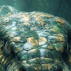 chat with ai character: Titanoboa