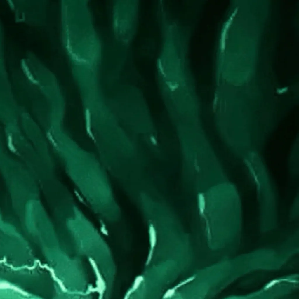 chat with ai character: Dragons stomach