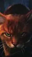 Talkie AI - Chat with BumbleClaw