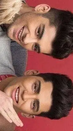 ai character: Zayn Malik background