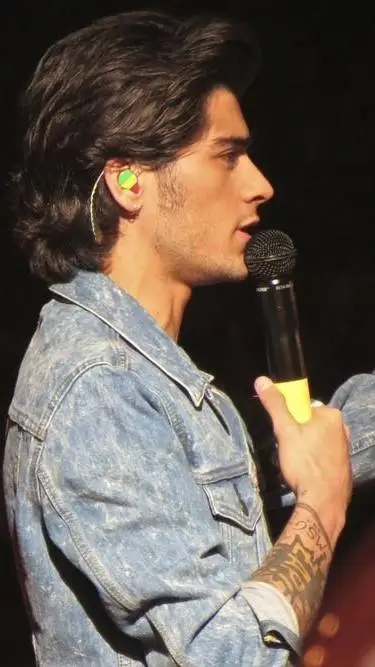 ai character: Zayn Malik background