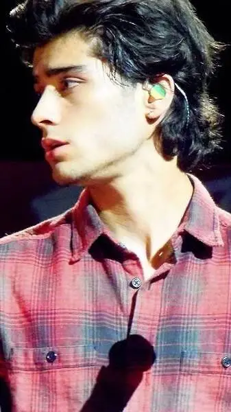 ai character: Zayn Malik background