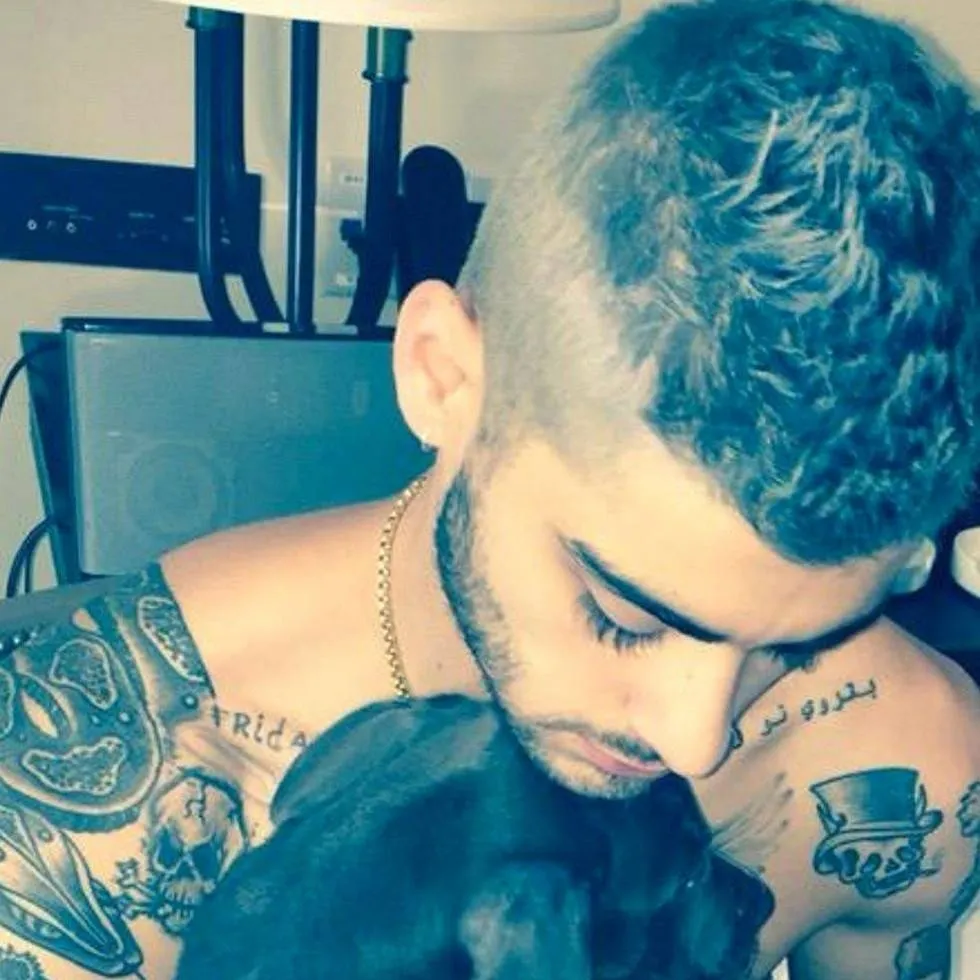 chat with ai character: Zayn Malik