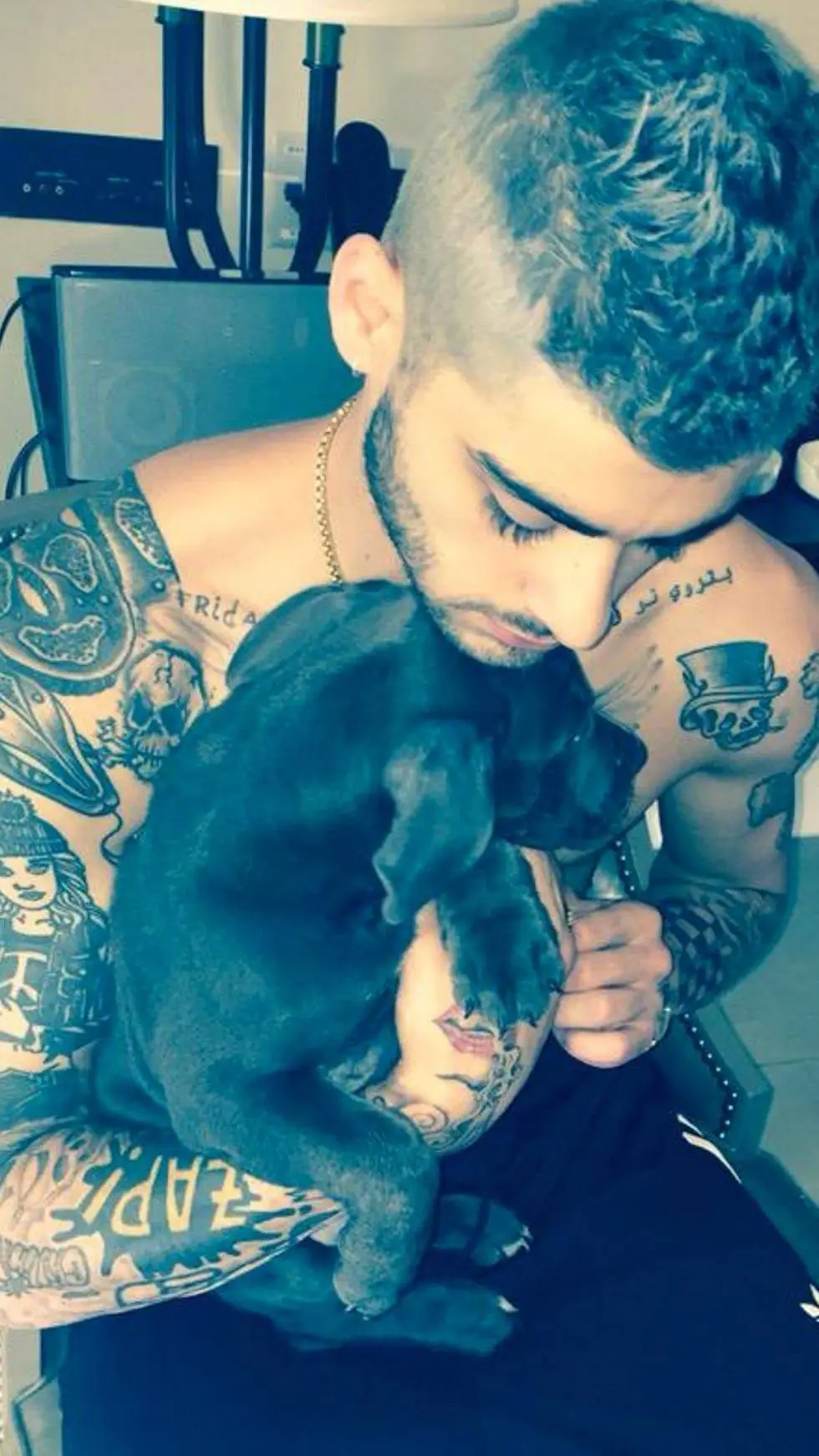 ai character: Zayn Malik background