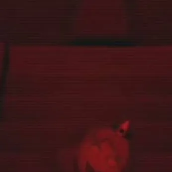 chat with ai character: the fuck 