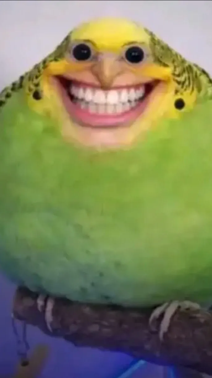 ai character: The budgie is here background