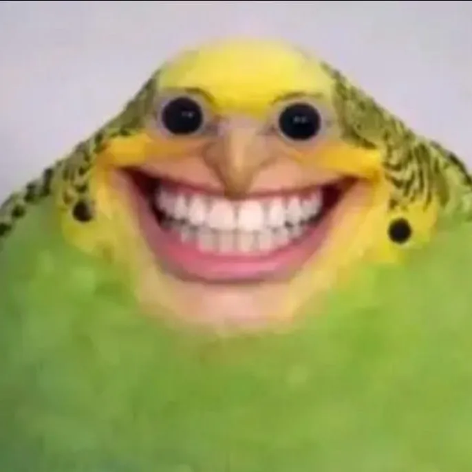 chat with ai character: The budgie is here