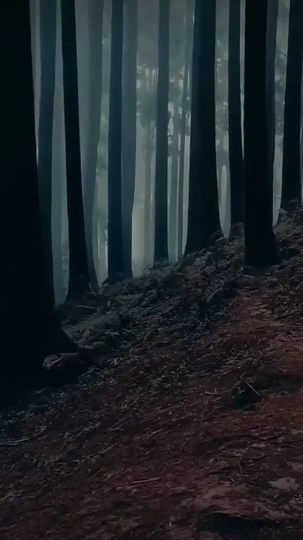 ai character: killer forest 💀 background